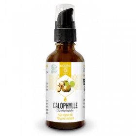 Huile de calophylle bio – DAYANG