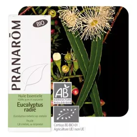 Huile essentielle Eucalyptus radié BIO 10 ml PRANAROM