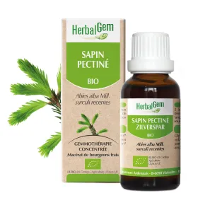 Sapin pectine BIO Macérat mère Flacon 50 ml HERBALGEM