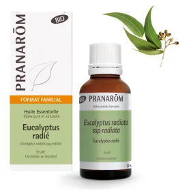 Huile essentielle Eucalyptus radié BIO FORMAT FAMILIAL 30 ml PRANAROM