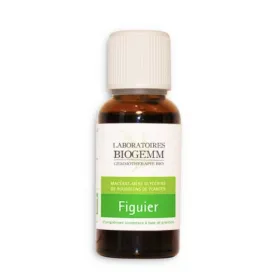 Macérat de bourgeons de figuier BIO 30 ml BIOGEMM