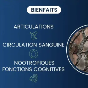 Pycnogenol 50 mg 60 gélules DYNVEO