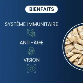 Cycloastragénol 10 mg (Astragale) 60 gélules DYNVEO