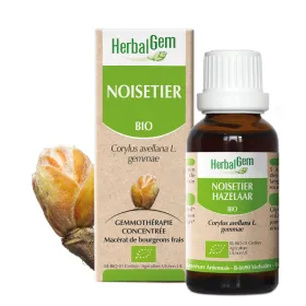 Noisetier BIO Macérat mère bourgeons Flacon 30 ml HERBALGEM