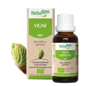 Vigne BIO Macérat mère bourgeons Flacon 30 ml HERBALGEM