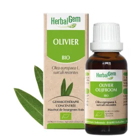 Olivier BIO Macérat mère 30 ml HERBALGEM