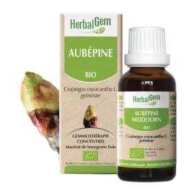 Aubépine BIO Macérat mère bourgeons Flacon 30 ml HERBALGEM