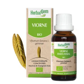 Viorne BIO Macérat mère Flacon 30 ml HERBALGEM