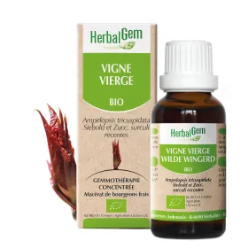 Vigne vierge BIO Macérat mère bourgeons Flacon 30 ml HERBALGEM