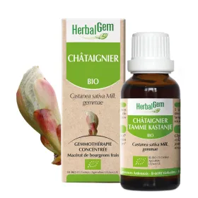 Chataignier BIO Macerat mère Bourgeons Flacon 30 ml HERBALGEM