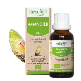 Amandier (Amande douce) BIO Macérat mère  Bourgeons Flacon 30 ml - HERBALGEM